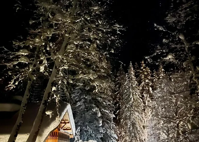 木屋 Marmotte Mountain Retreat 霞慕尼