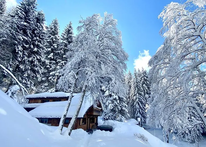 Marmotte Mountain Retreat شاليه