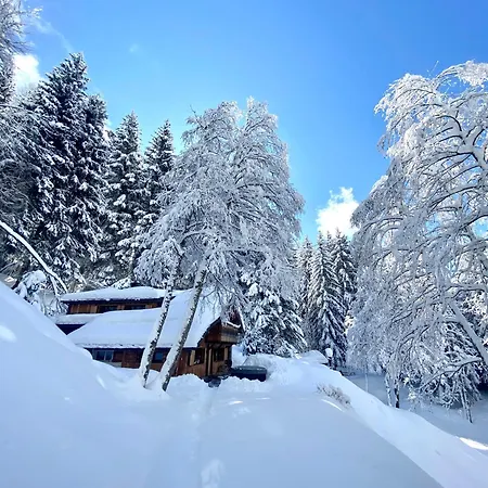 Marmotte Mountain Retreat 木屋