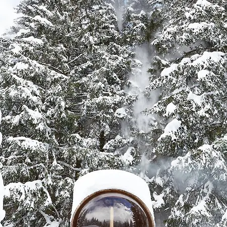 Marmotte Mountain Retreat 木屋 *